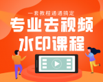 专业去视频水印教程 静态水印、动态水印、文字水印、图片水印一套教程通通搞定-葛仙仙资源库
