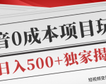 短视频变现套路剖析，抖音0成本赚钱项目玩法，日入500+独家揭秘（共2节视频）-葛仙仙资源库