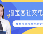 某站内部课程:淘宝客社交电商裂变,精准引流和粉丝裂变模式详解(共6节视频)-葛仙仙资源库