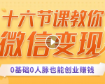 十六节课教你零基础微信变现,用单品打爆市场,每月收入超过10万+-葛仙仙资源库
