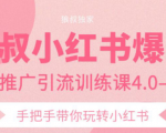 狼叔小红书爆款推广引流训练课4.0,手把手带你玩转小红书-葛仙仙资源库