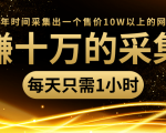 年赚十万的采集站，每天却只需要1小时，一年时间采集出一个售价10W以上的网站-葛仙仙资源库