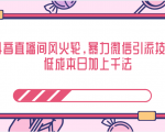 抖音直播间风火轮,暴力微信引流技术,低成本日加上千法-葛仙仙资源库