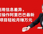 利用信息差异,零投资操作阿里巴巴最新管道项目轻松月赚10000+-葛仙仙资源库