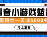 赚钱计划:抖音小游戏蓝海项目,无粉丝一天收入5000+-葛仙仙资源库