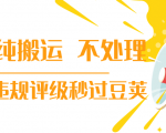 抖音纯搬运 不处理 小技巧，30秒发一个作品，避免违规评级秒过豆荚-葛仙仙资源库