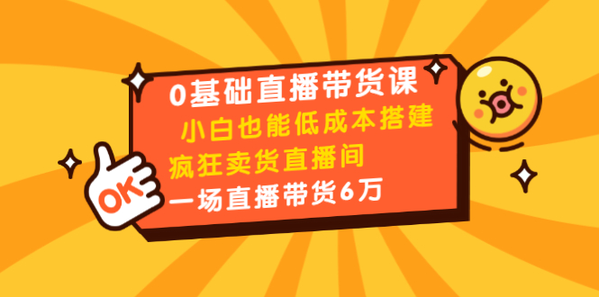 0基础直播带货课：小白也能低成本搭建疯狂卖货直播间：1场直播带货6万-葛仙仙资源库