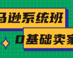 亚马逊系统班,专为0基础卖家量身打造,亚马逊运营流程与架构-葛仙仙资源库