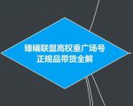 臻曦联盟抖音高权重广场号无人直播正规品带货全解-葛仙仙资源库
