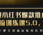 小红书爆款推广引流训练课5.0,手把手带你玩转小红书(17节实操视频+话术)-葛仙仙资源库