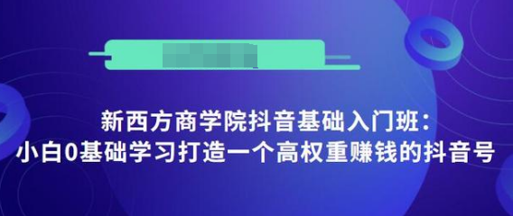 抖音基础入门班：小白0基础学习打造一个高权重赚钱的抖音号-葛仙仙资源库