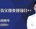 柚子分享课:微信视频号变现攻略,新手零基础轻松日赚千元-葛仙仙资源库