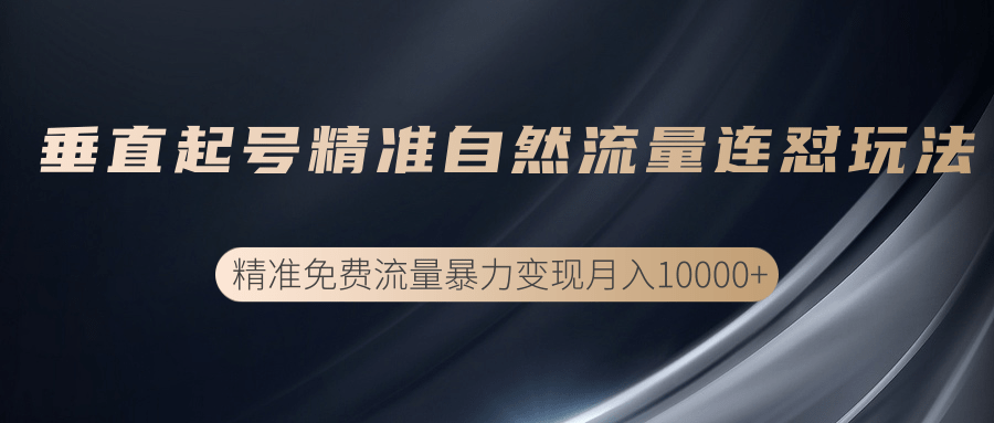 垂直起号精准自然流量连爆玩法，精准引流暴力变现月入10000+-葛仙仙资源库