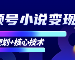 柚子微信视频号小说变现项目，全新玩法零基础也能月入10000+【核心技术】-葛仙仙资源库