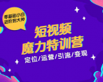 零基础小白进阶到大神《短视频魔力特训营》定位-运营-引流-变现-葛仙仙资源库