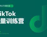 2020最新TikTok流量增长训练营（完结）附PPT-葛仙仙资源库