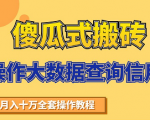 搬砖操作大数据查询信用项目赚钱教程,祝你快速月入6万-葛仙仙资源库