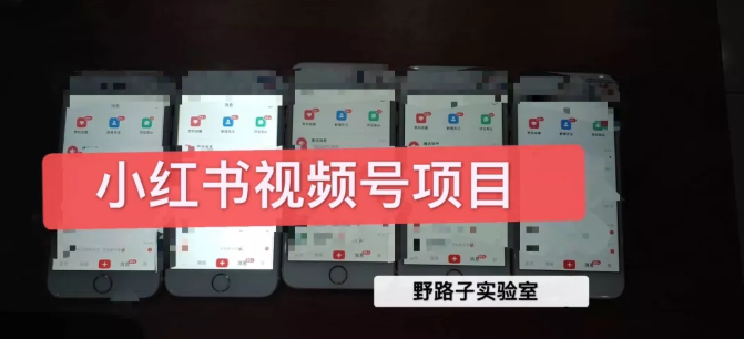 野路子小红书视频号1.0项目，直接上手操作就能赚钱的视频号项目-葛仙仙资源库