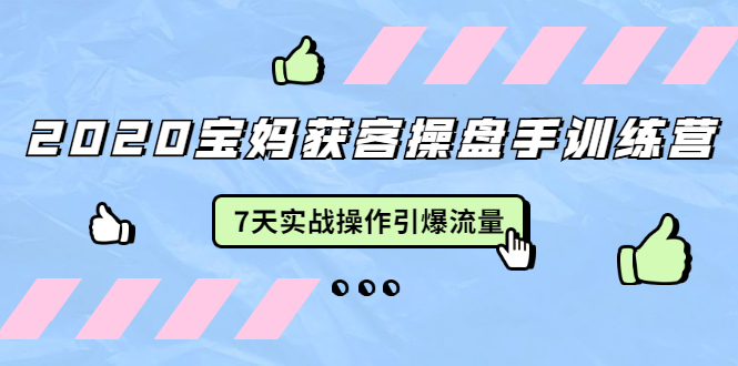 2020宝妈获客操盘手训练营：7天实战操作引爆 母婴、都市、购物宝妈流量-葛仙仙资源库
