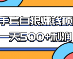 某团队收费项目：空手套白狼，一天500+利润，人人可做-葛仙仙资源库