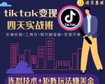 tiktok变现四天实战班,连怼技术+矩阵玩法赚美金!价值998元-葛仙仙资源库