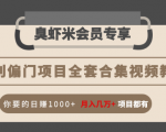 暴利偏门项目全套合集视频教程：你要的日赚1000+月入几万+项目都有-葛仙仙资源库