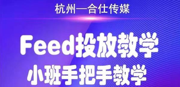 合仕传媒Feed投放教学，手把手教学，开车烧钱必须自己会-葛仙仙资源库