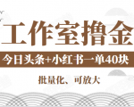 工作室撸金二件套:撸今日头条原创收益+小红书一单利润40块项目-葛仙仙资源库