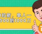 Paypal拉新赚美刀项目，单人一天利润500-1000刀【视频课程】-葛仙仙资源库