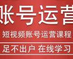 短视频账号运营课程:从话术到短视频运营再到直播带货全流程,新人快速入门-葛仙仙资源库