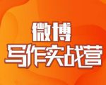 村西边老王·微博超级写作实战营,帮助你粉丝猛涨价值999元-葛仙仙资源库