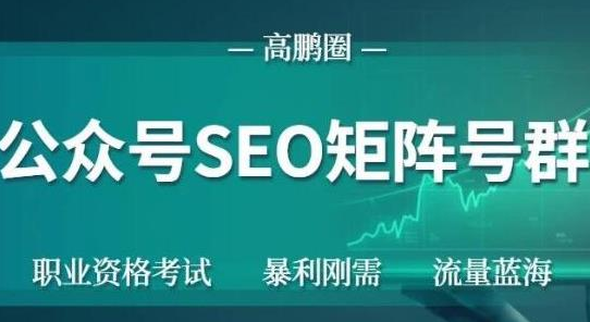 高鹏圈公众号SEO矩阵号群，实操20天纯收益25000+，普通人都能做-葛仙仙资源库