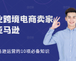 职业跨境电商卖家聊亚马逊:亚马逊运营的10项必备知识,12堂课让你看懂亚马逊运营-葛仙仙资源库