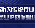 从0到1为传统行业打造抖音商业IP简单高效的保姆级攻略-葛仙仙资源库