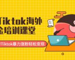 最新Tiktok海外掘金培训课堂：带你玩转Tiktok暴力涨粉轻松变现-葛仙仙资源库