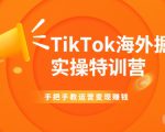 TikTok海外掘金实操特训营：手把手教运营变现赚钱-葛仙仙资源库