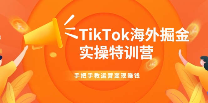 TikTok海外掘金实操特训营：手把手教运营变现赚钱-葛仙仙资源库