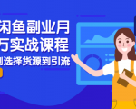 2021闲鱼副业月入过万实战课程：从开店到选择货源到引流，全程实战教学-葛仙仙资源库