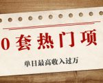 30套热门项目：单日最高收入过万 (网赚项目、朋友圈、涨粉套路、抖音、快手)等-葛仙仙资源库