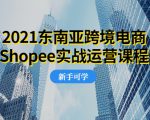 2021东南亚跨境电商Shopee实战运营课程,0基础、0经验、0投资的副业项目-葛仙仙资源库