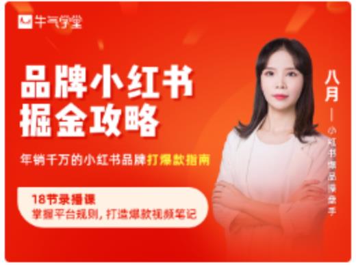 品牌小红书掘金攻略，年销千万的小红书品牌打爆款指南-葛仙仙资源库