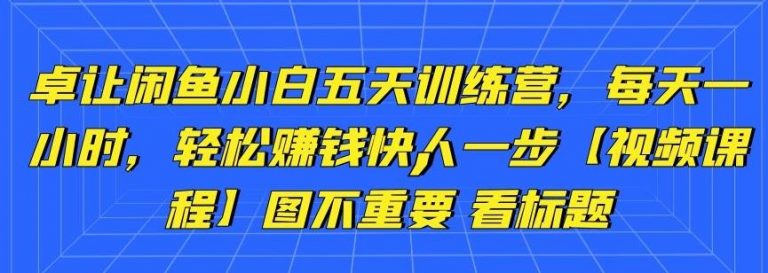 卓让闲鱼小白五天训练营，每天一小时，轻松赚钱快人一步-葛仙仙资源库