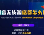 蟹老板·抖音无货源店群怎么做,吊打市面一大片《抖音无货源店群》的课程-葛仙仙资源库