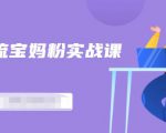 百度贴吧引流宝妈粉实战课,小白也可以日引100+精准粉-葛仙仙资源库