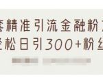 1套精准引流金融粉方法，轻松日引300+粉丝-葛仙仙资源库