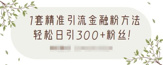 1套精准引流金融粉方法，轻松日引300+粉丝-葛仙仙资源库