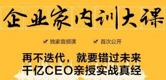 企业家内训大课，未来企业必学经验，价值1299元-葛仙仙资源库