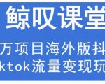 鲸叹号·海外TIKTOK训练营,百万项目海外版抖音tiktok流量变现玩法-葛仙仙资源库