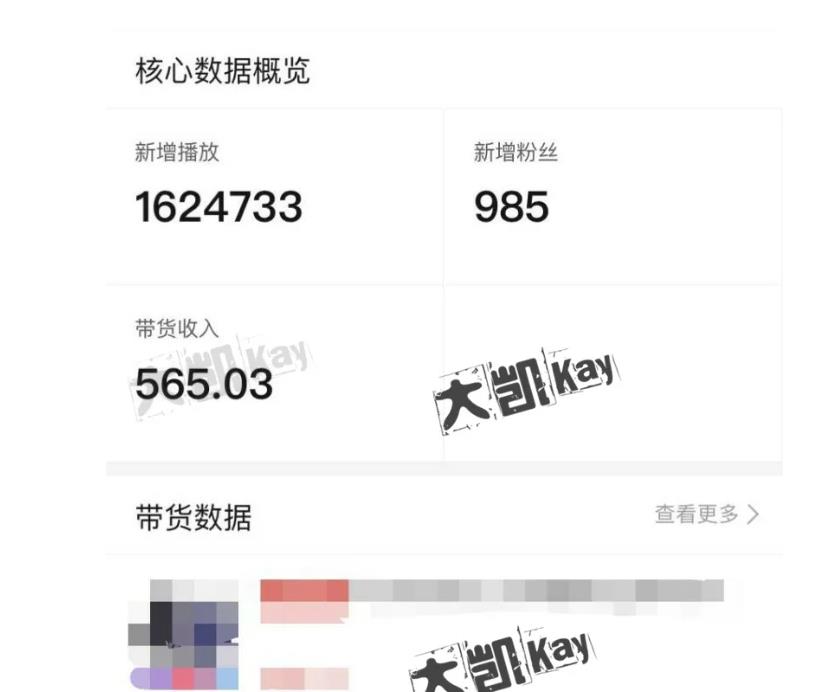 大凯进阶圈新玩法之拼多多视频玩法，利润大概一个号一天能有500~1500的左右!-葛仙仙资源库