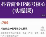 抖音商业IP起号核心实操课,带你玩转算法,流量,内容,架构,变现-葛仙仙资源库